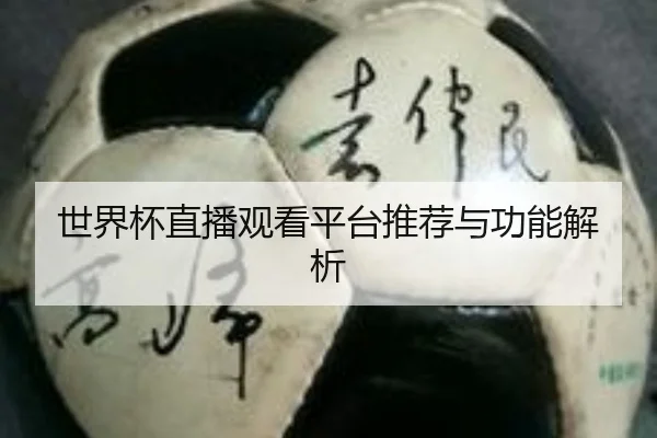 世界杯直播观看平台推荐与功能解析