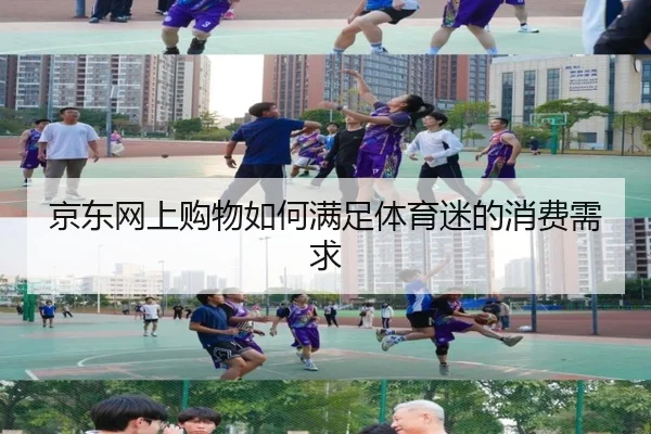 京东网上购物如何满足体育迷的消费需求